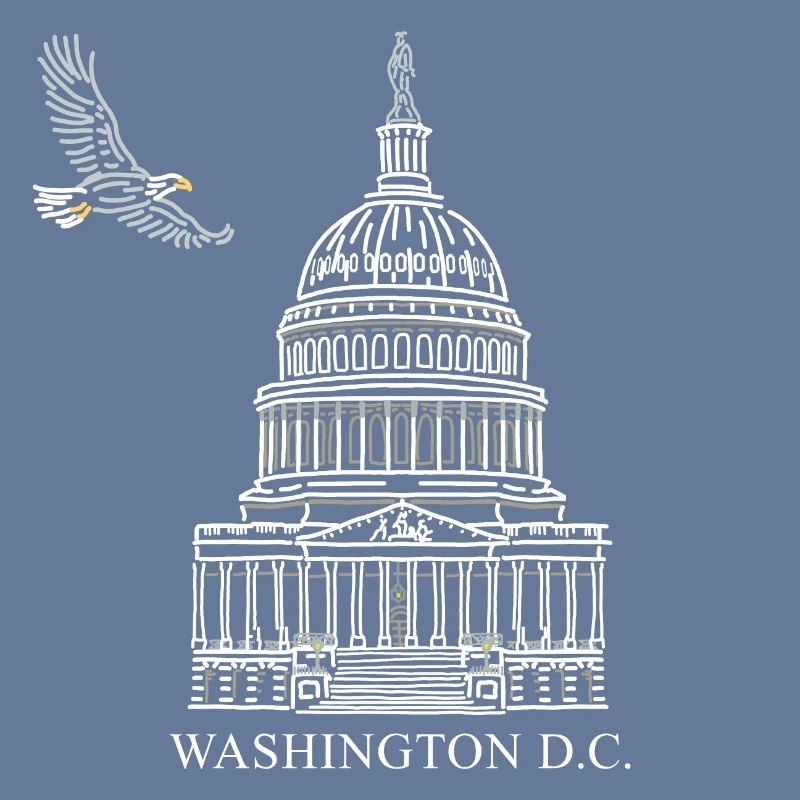 Washington D.C., Capitol Structure, Bald Eagle
