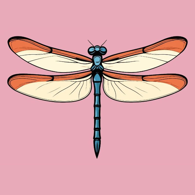 Blauorange Drachenlibelle