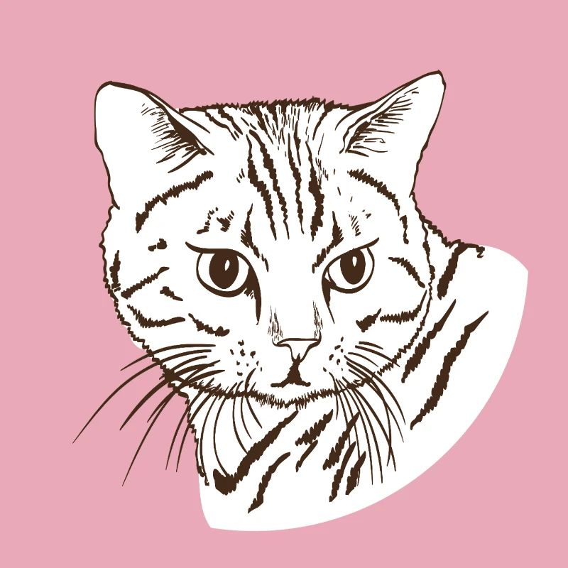 Katze