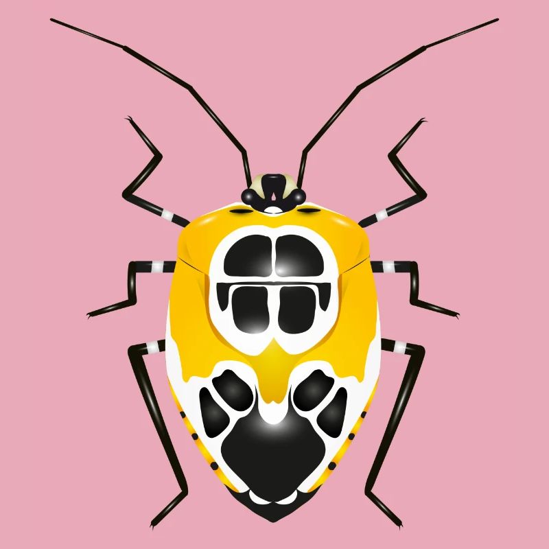 Runibia decorata Insecte rampant effrayant jaune noir