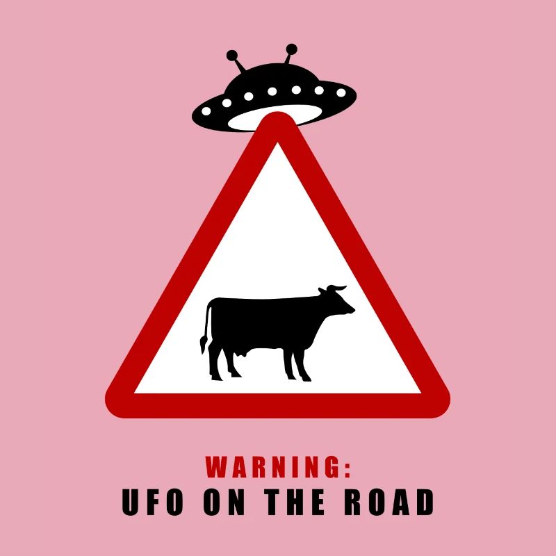 Warnung! UFO auf der Straße!