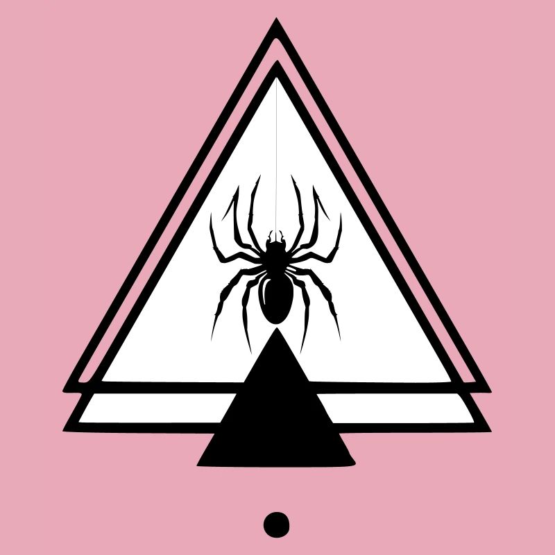 Spinne