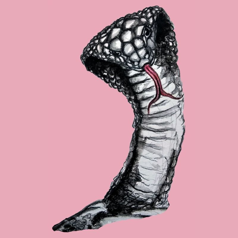 Cobra