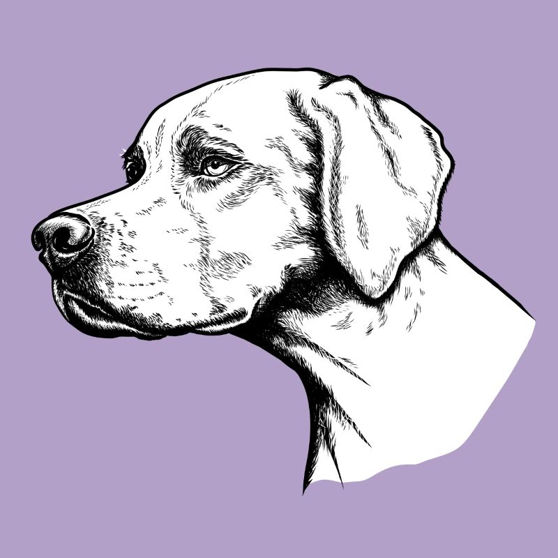 Pointer Portrait