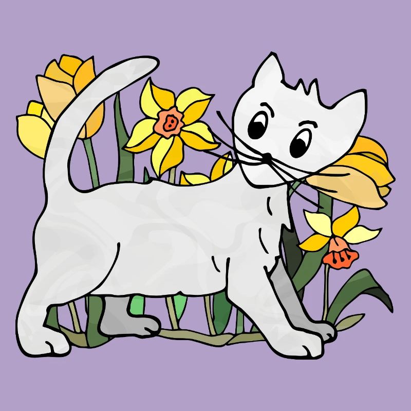chat