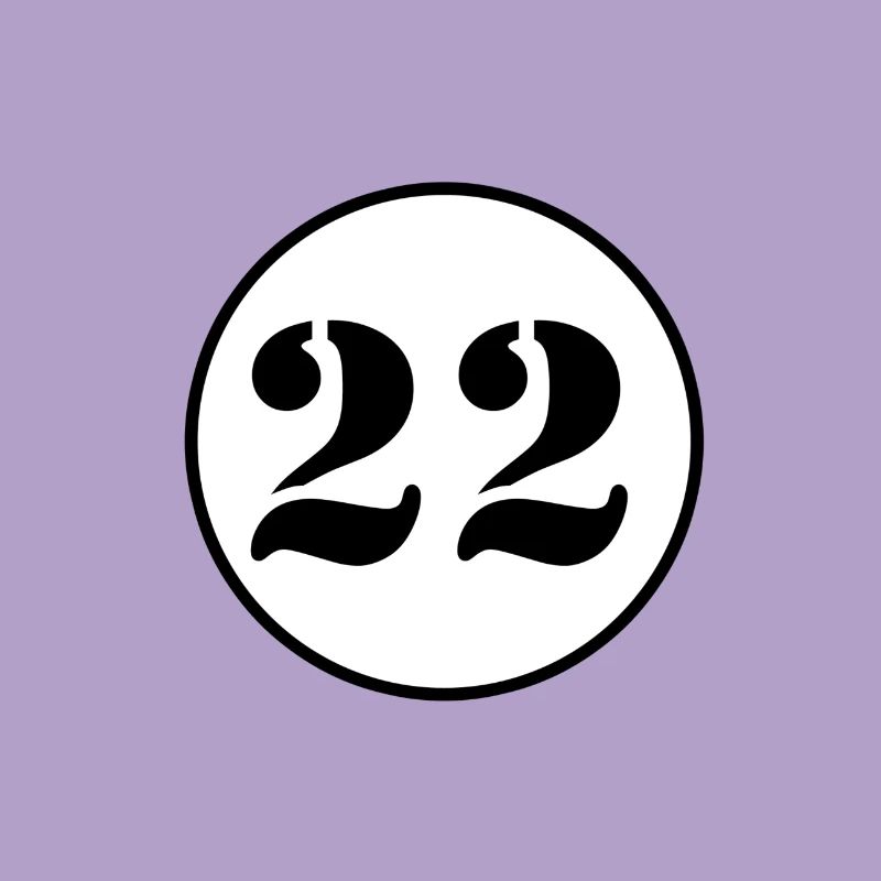 NUMBER 22 twenty two birthday gift
