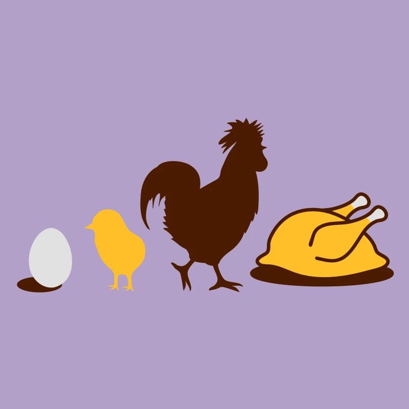 Egg,chick, rooster and chicken poultry Evolution