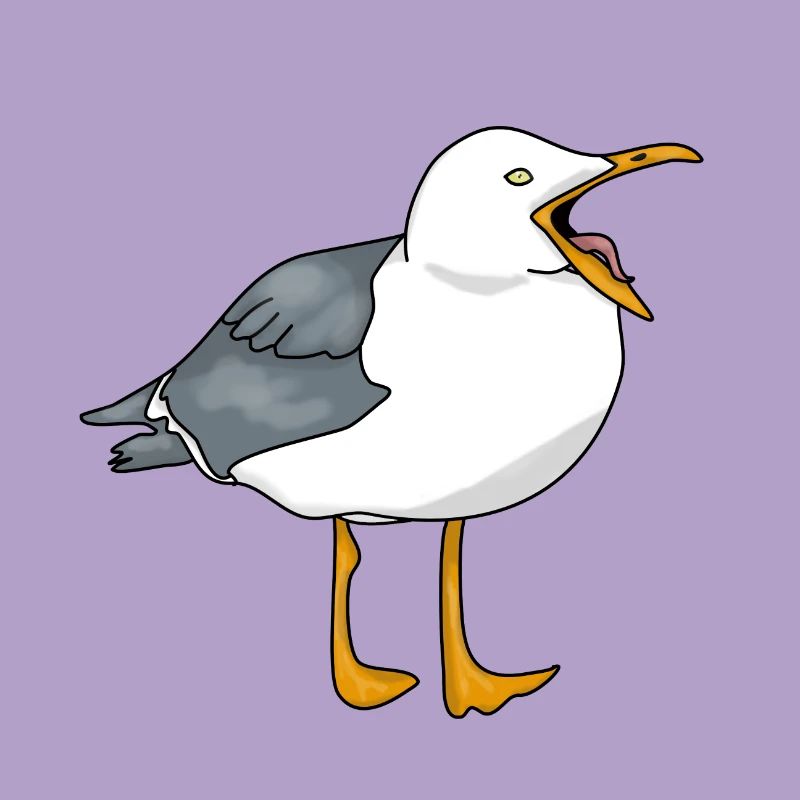 Möwe - Seagull