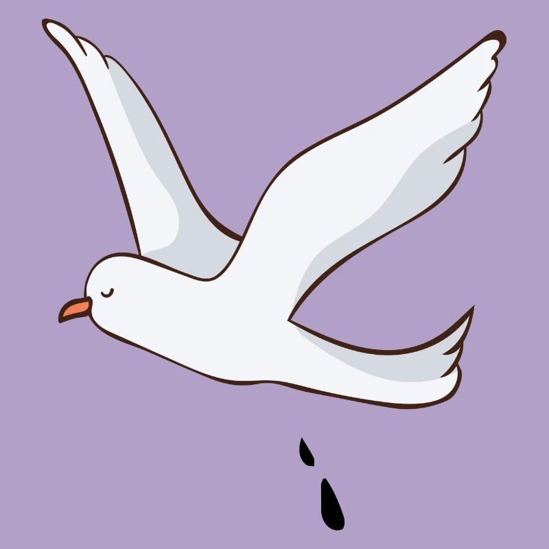 Möwe