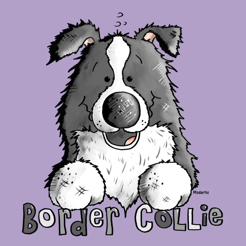 Petit Boder Collie - Chien de Berger