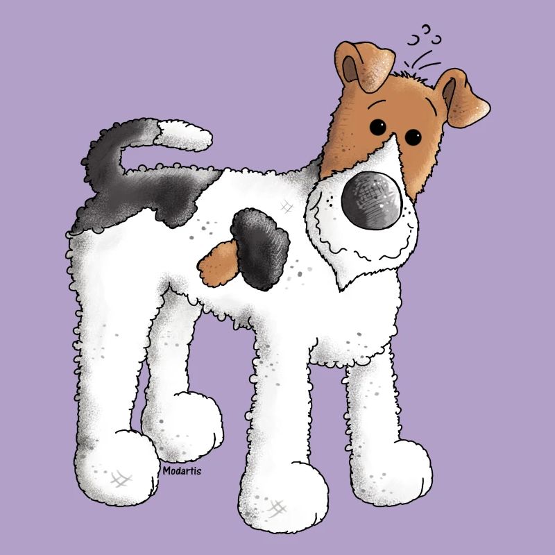 Fox Terrier - Chien