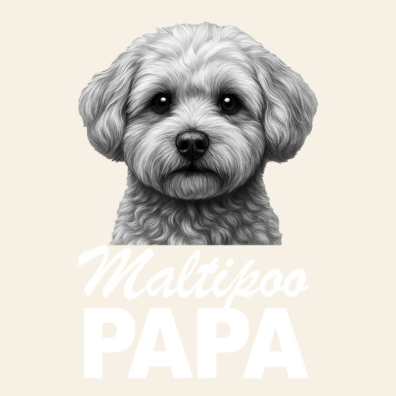 Maltipoo Dad