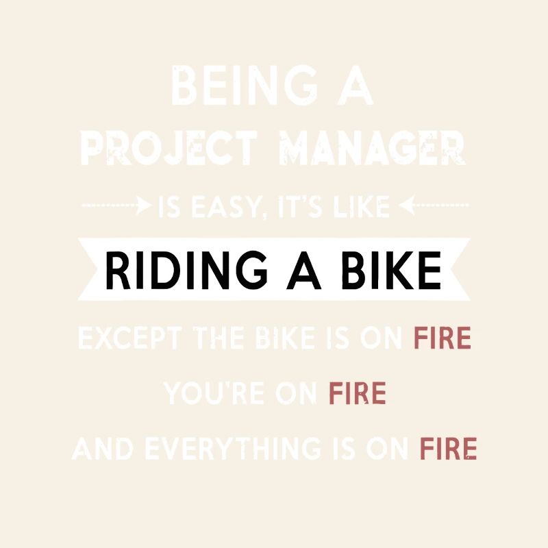 Project Manager on Fire