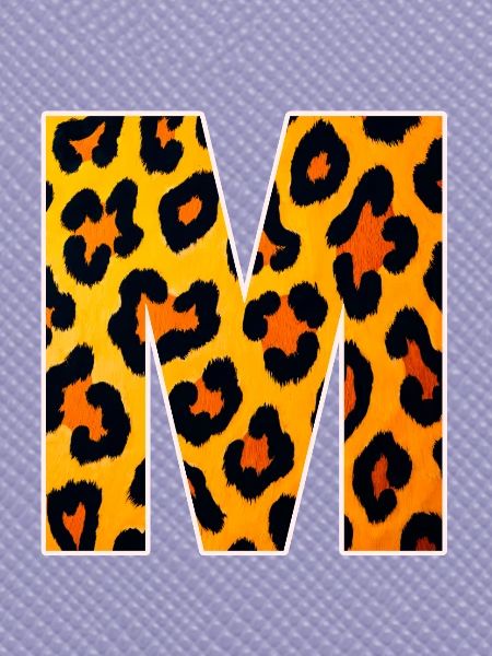 Leopard M Buchstabe