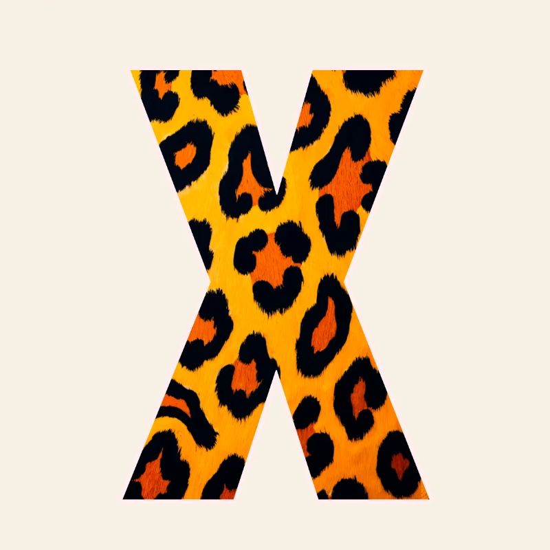 Leopard X Pattern