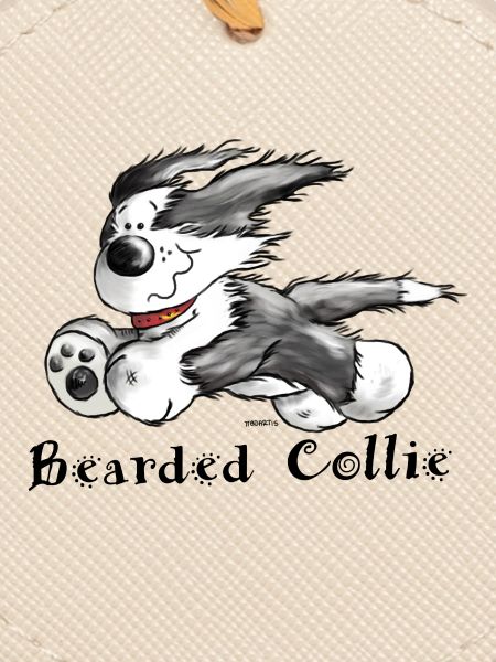 Bearded Collie