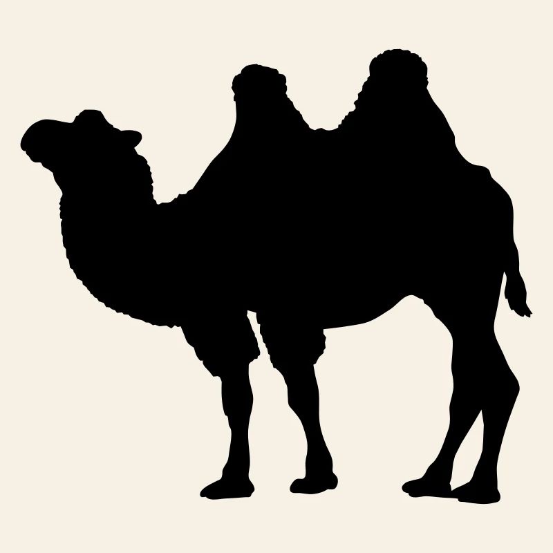 Kamel