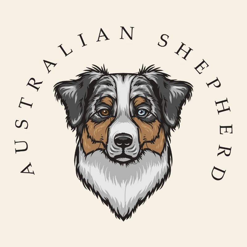 Australian Shepherd