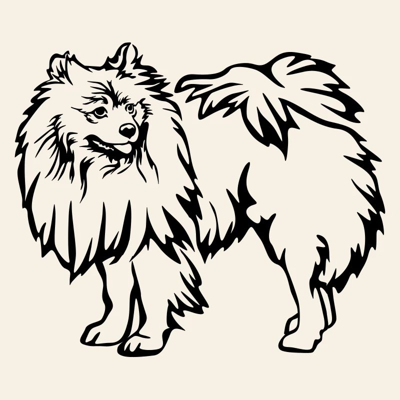 Spitz