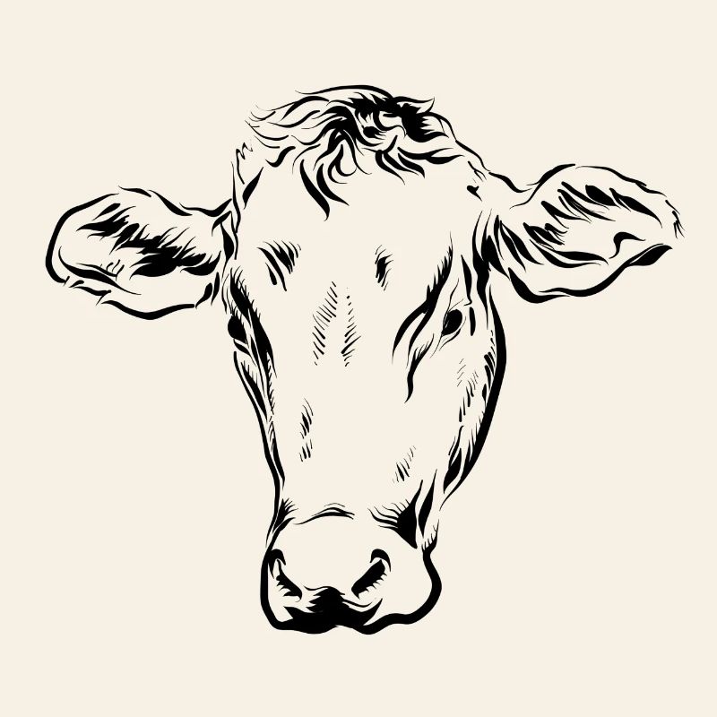Vache Vaches