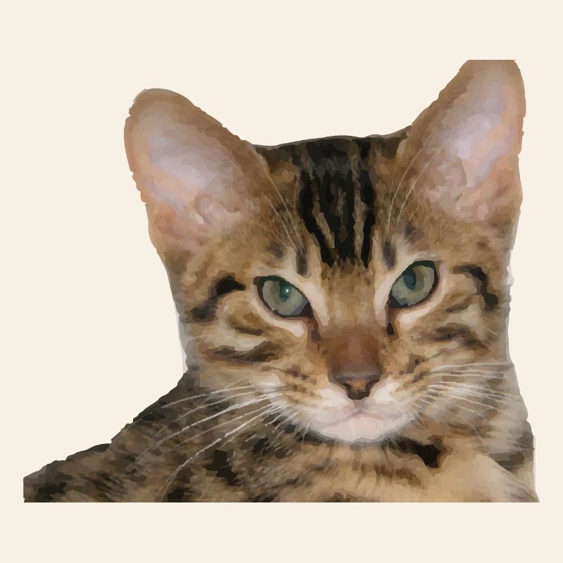 J’aime mon chat guépard