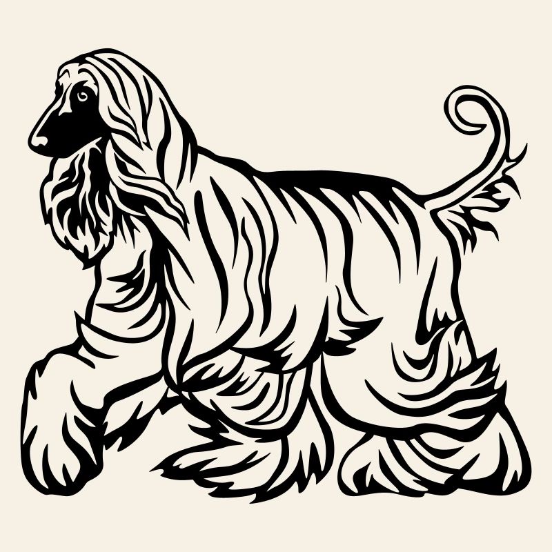 Afghane