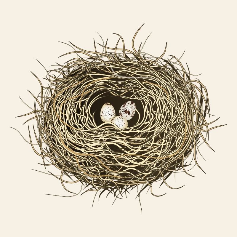 Vogelnest oder Osternest mit drei Vogel Eier