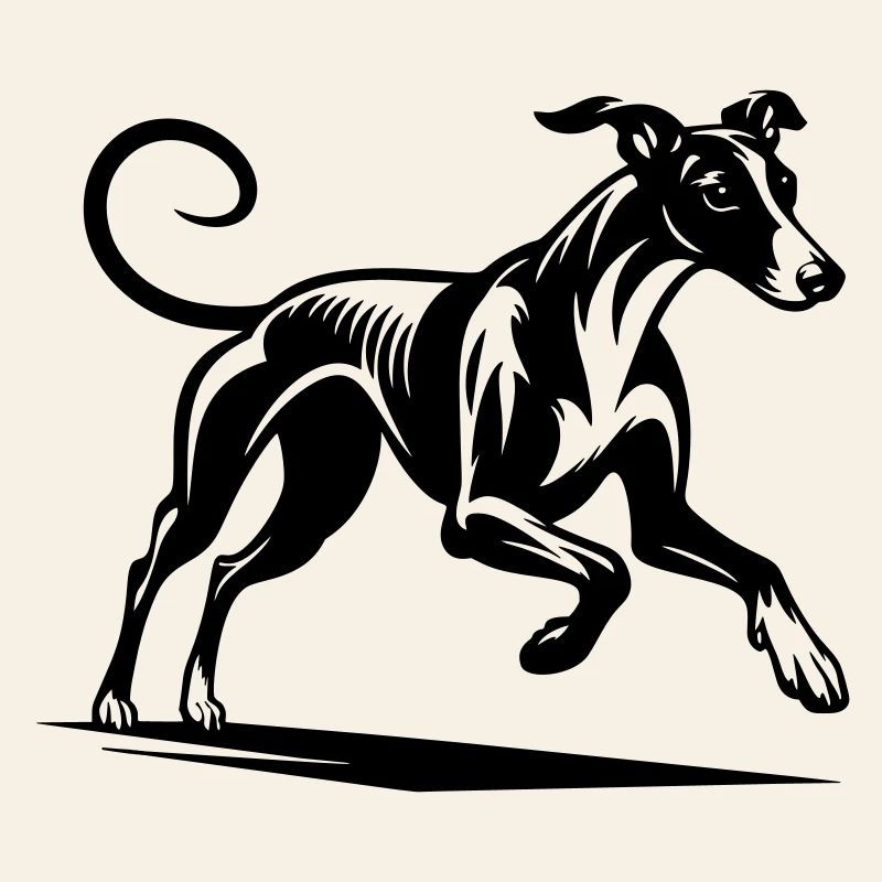 Galgo
