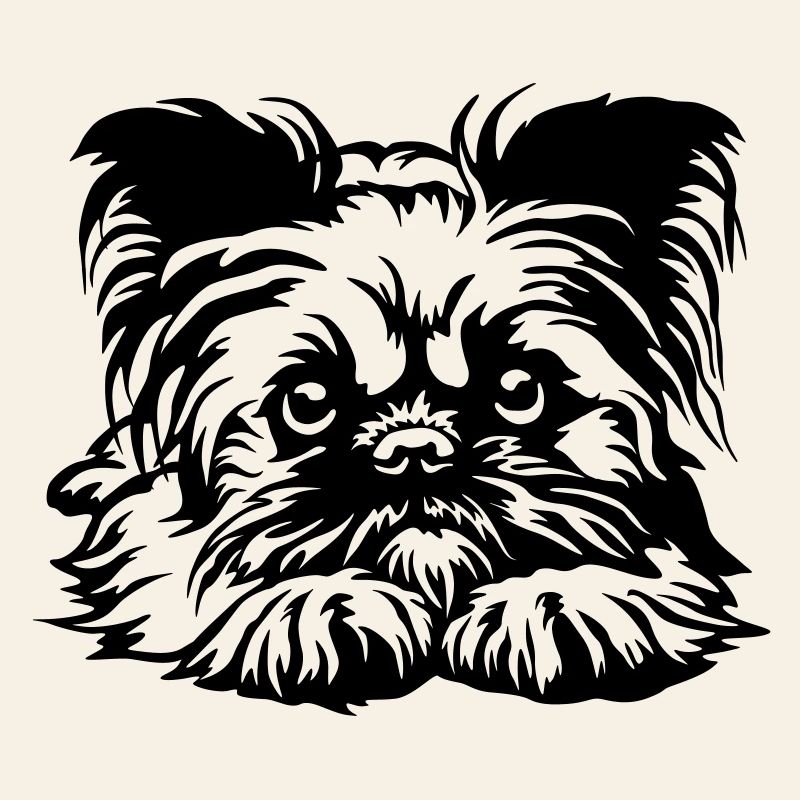 Brussels Griffon Head