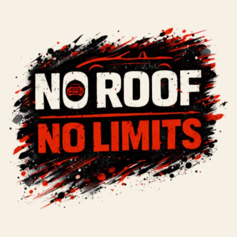 No Rules No Limits Auto Cabrio Spruch 