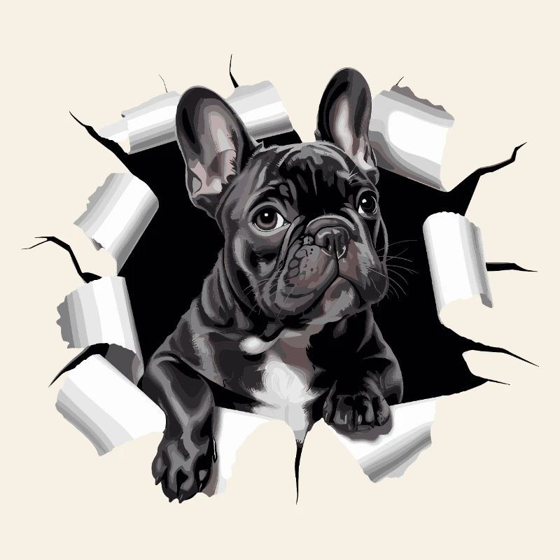 Chiot bouledogue français perce la percée