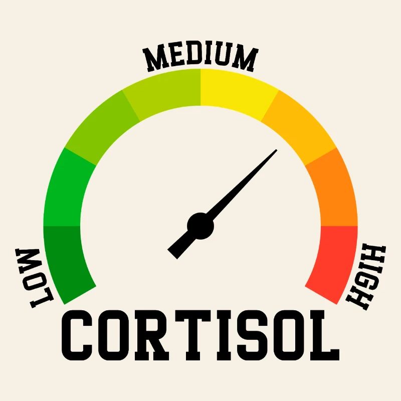Low Cortisol Low Level Even