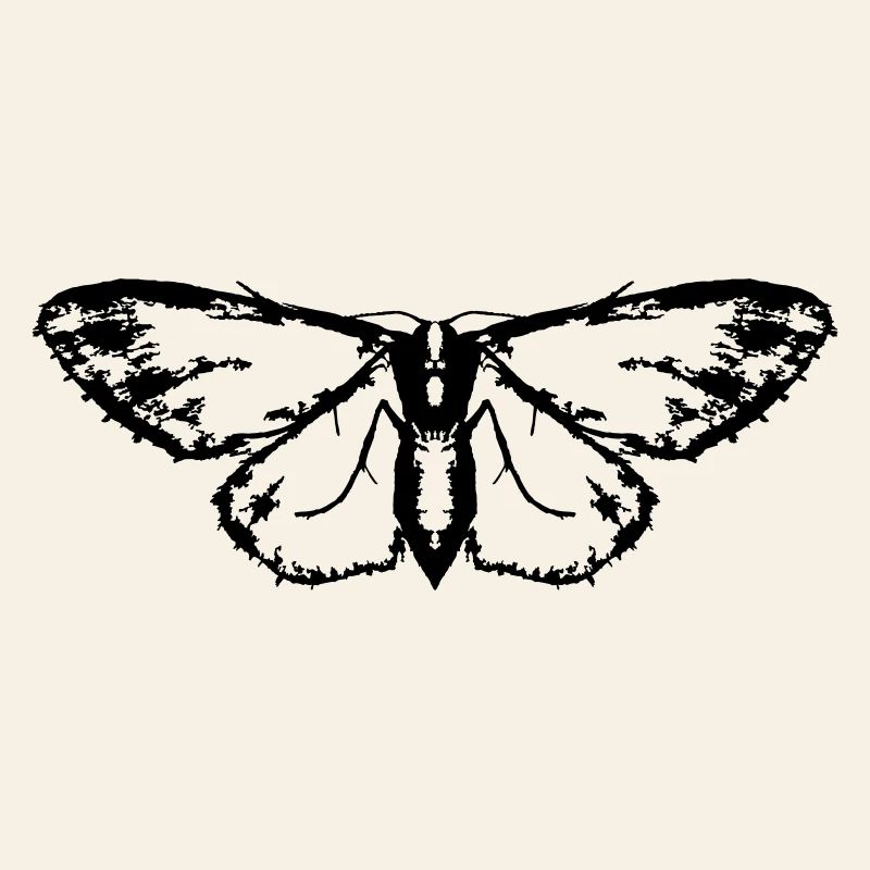 Moth / Butterfly / Moth