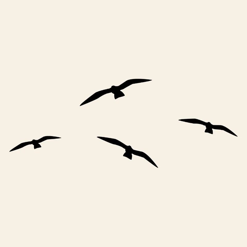 Flying Seagull