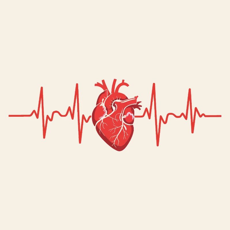 Conception du rythme cardiaque avec une focalisation anatomique