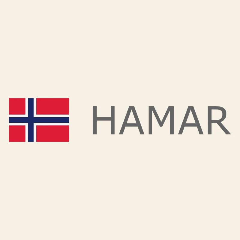 Norway Flag - Hamar - Norge - Norwegen