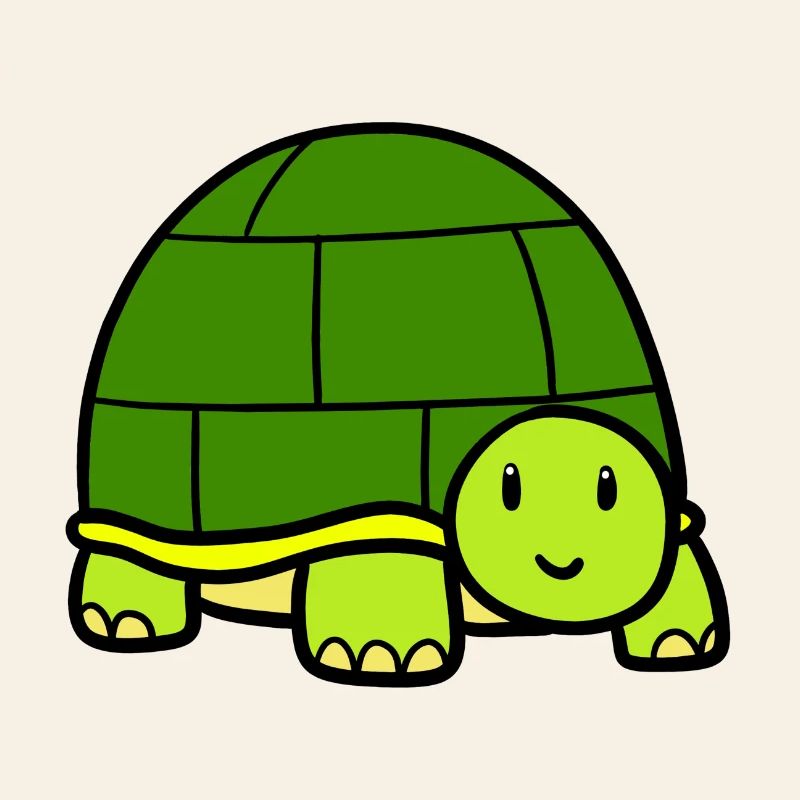 Little turtle