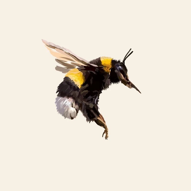 Bumblebee