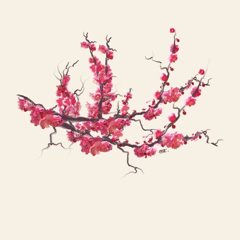 sakura