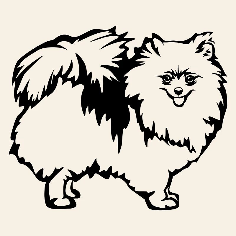 Spitz nain