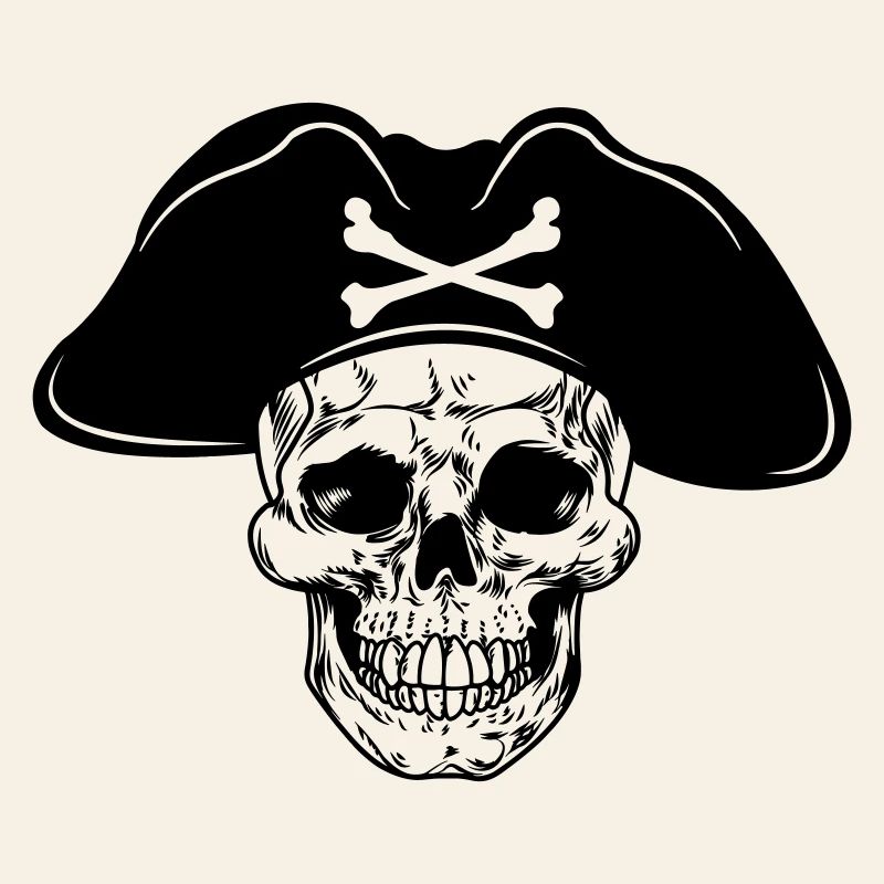 Skull pirate hat