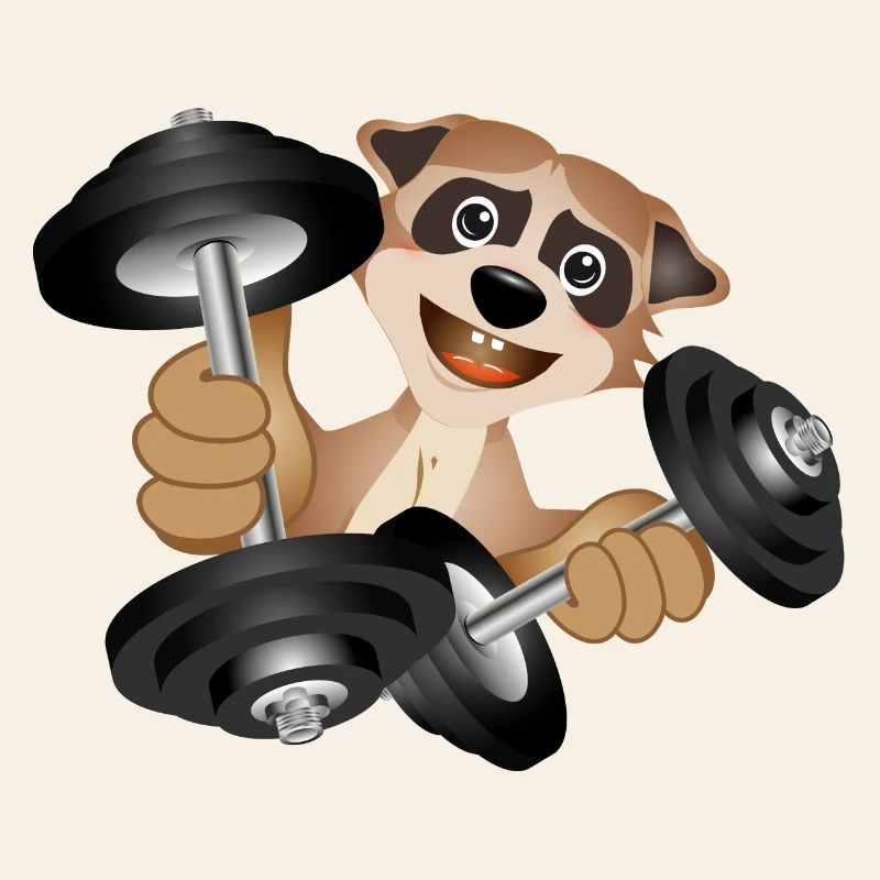 Bodybuilder meerkat with dumbbells while exercising