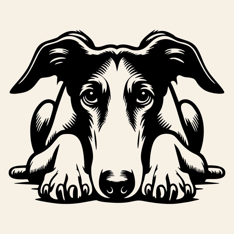 Galgo Kopf mit Pfoten