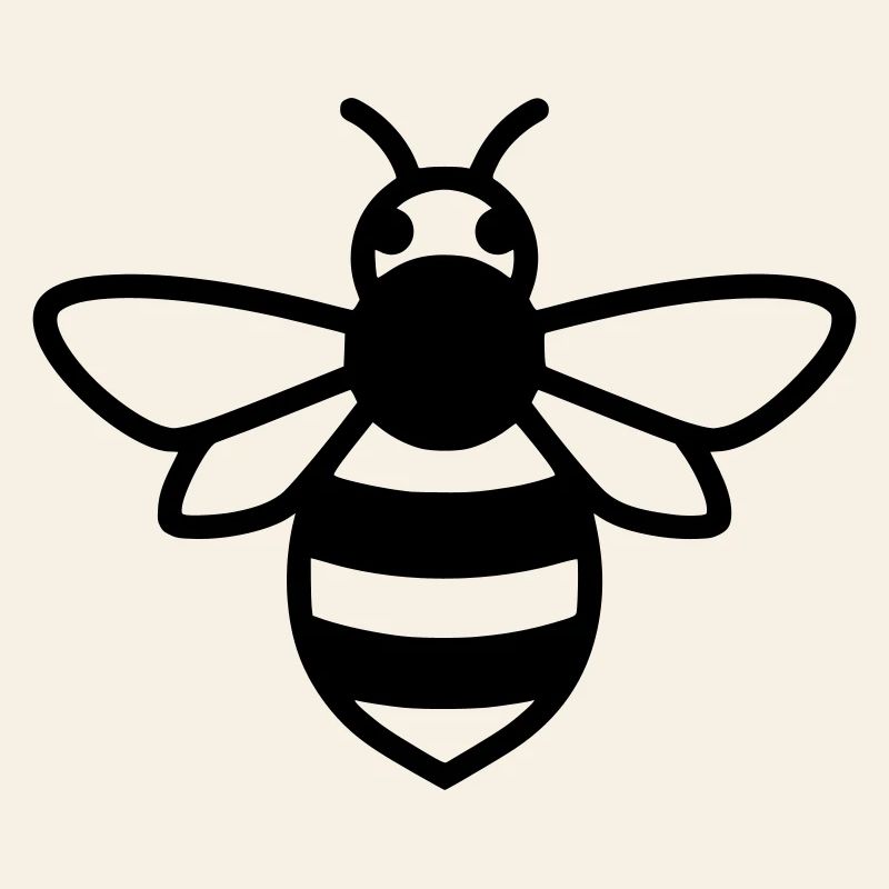 Dessin du contour de l’abeille