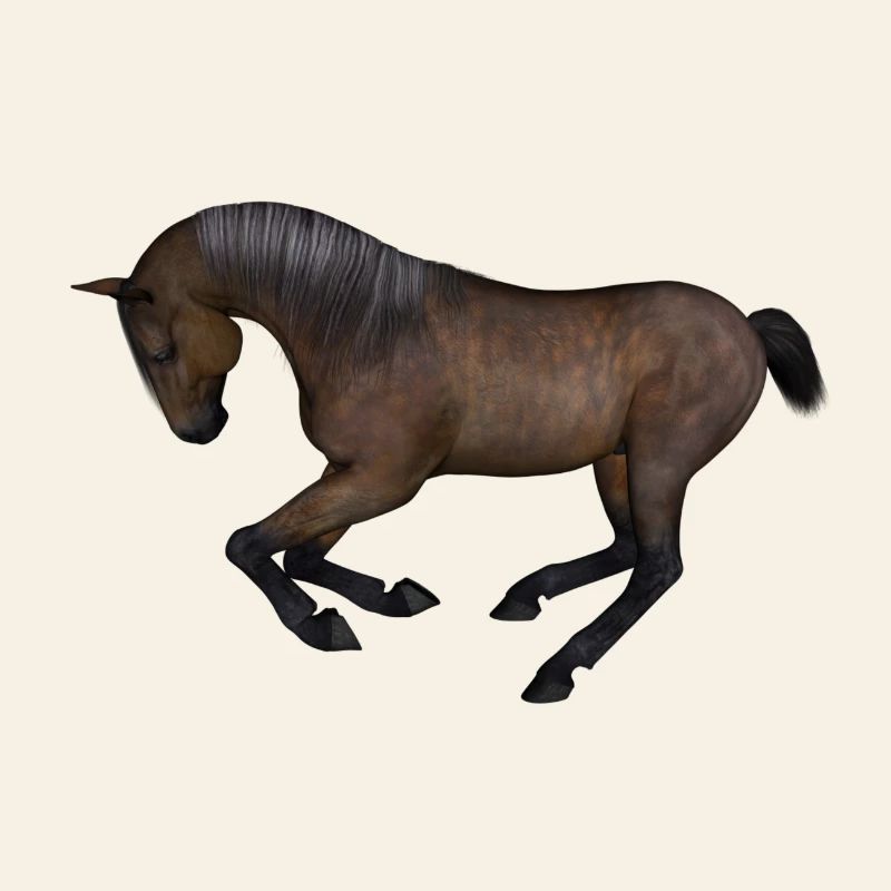 Pferd