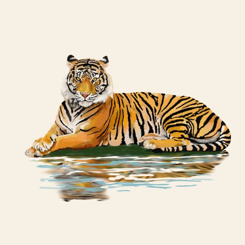 Tiger