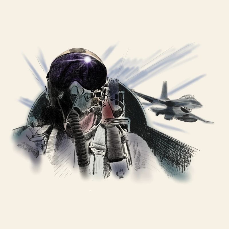 Fighter pilot