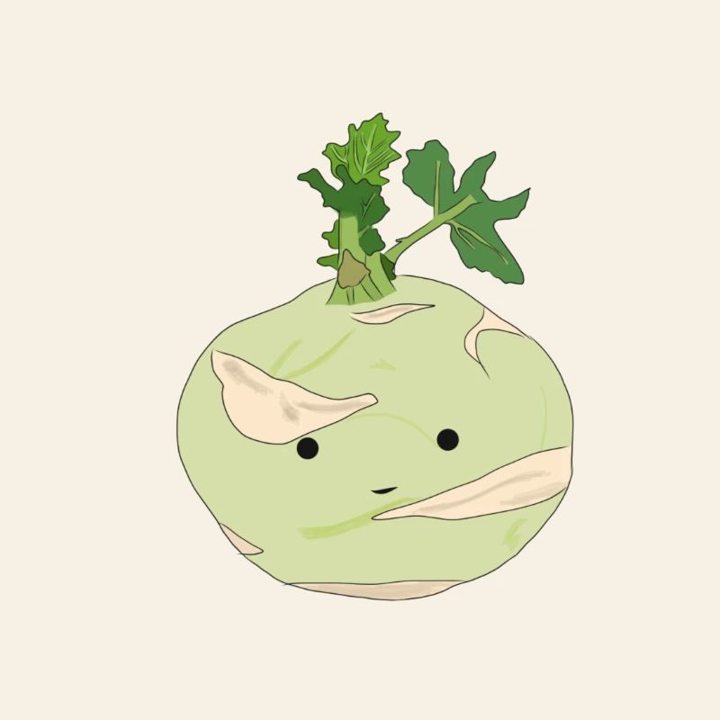 M. Kohlrabi