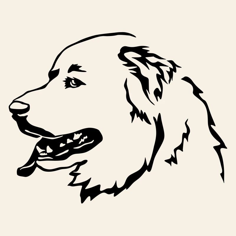 Pyrenean mountain dog head