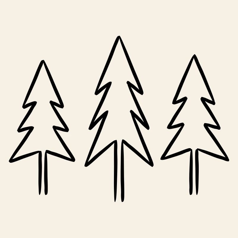 Fir fir trees forest Christmas Advent